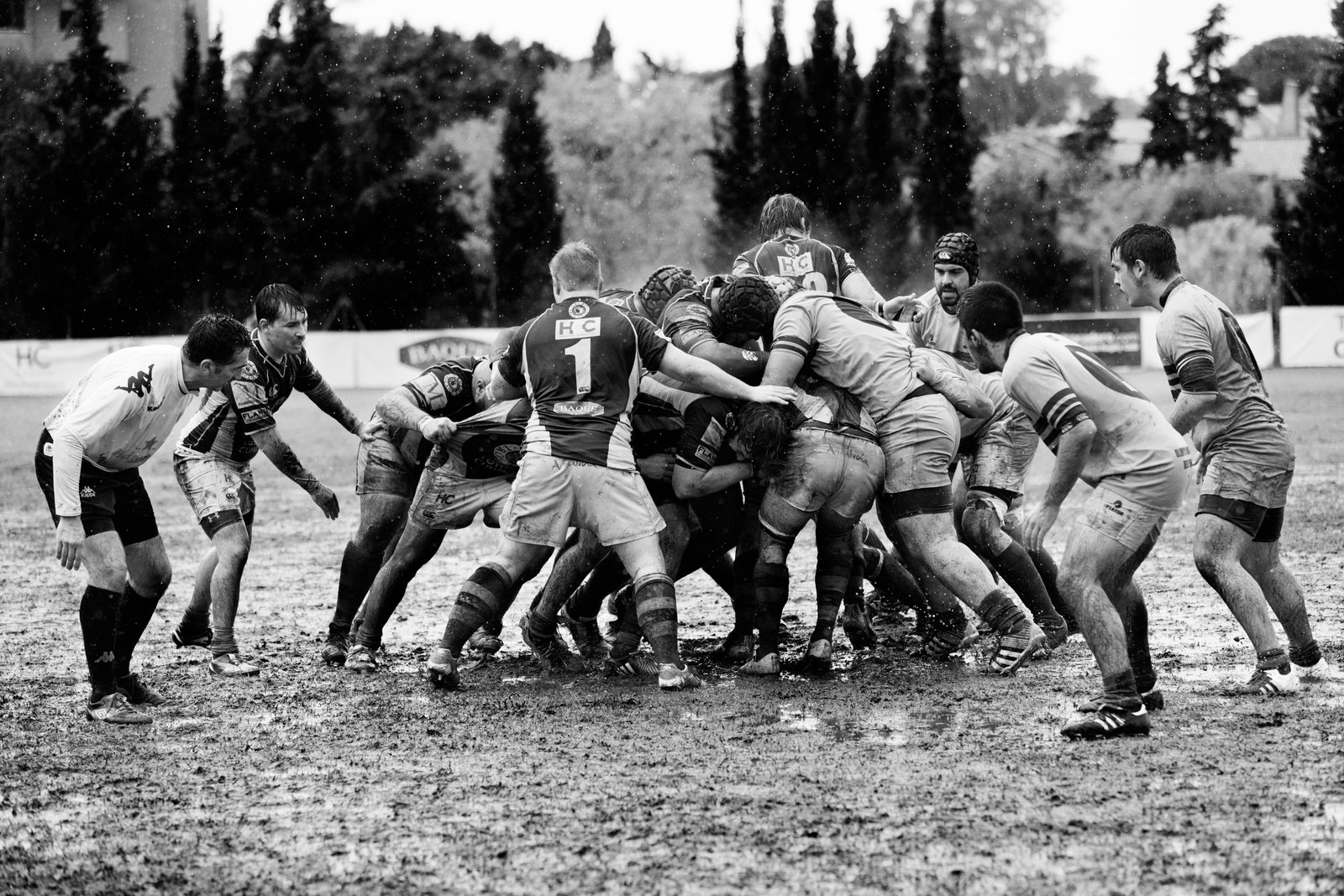 Vereine und Sportler